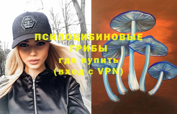 гашик Алексеевка