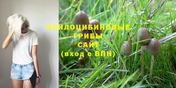 каннабис Алексин