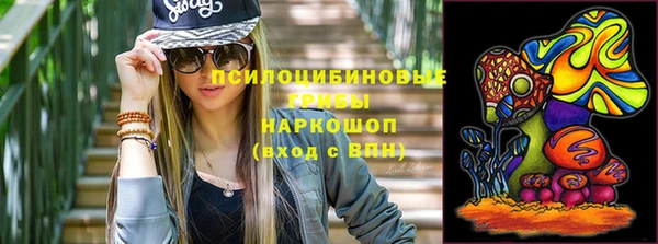 гашик Алексеевка