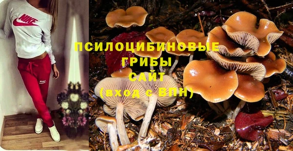 каннабис Алексин