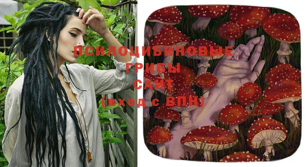 стафф Абдулино