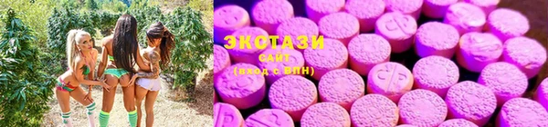 гашик Алексеевка