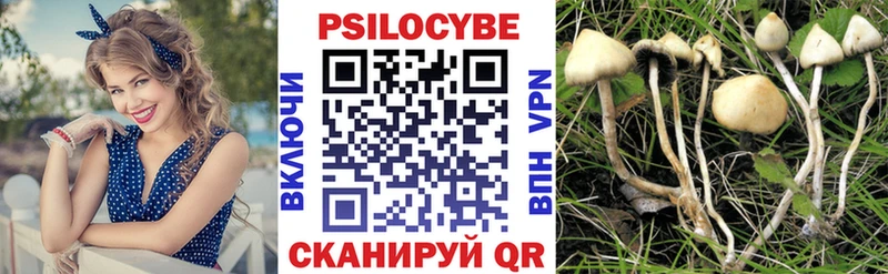 Псилоцибиновые грибы MAGIC MUSHROOMS  Котлас 