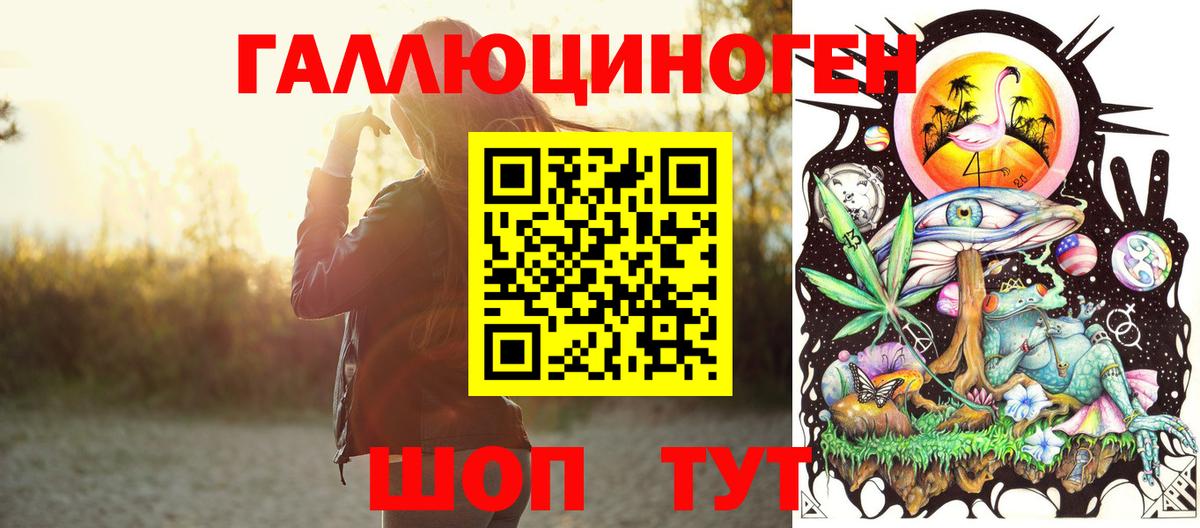 Котлас  где купить наркоту  Галлюциногенные грибы Psilocybine cubensis  Вход с VPN  Галлюциногенные грибы Psilocybe 