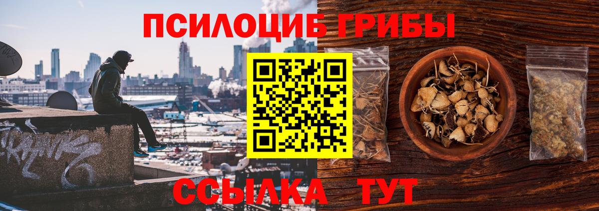 Псилоцибиновые грибы MAGIC MUSHROOMS Котлас
