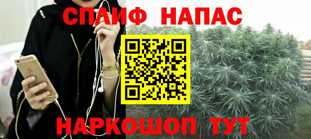 Канабис план  Бошки Шишки планчик  Котлас  Канабис индика  Вход с VPN 